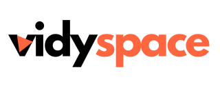Vidyspace Digital Marketing Agency